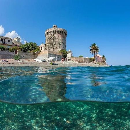 Agreable Studio Debut Cap Corse Proche Bastia San-Martino-di-Lota Exteriör bild