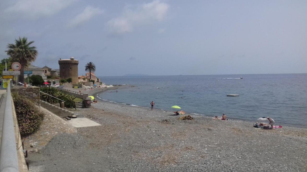 Agreable Studio Debut Cap Corse Proche Bastia San-Martino-di-Lota Exteriör bild