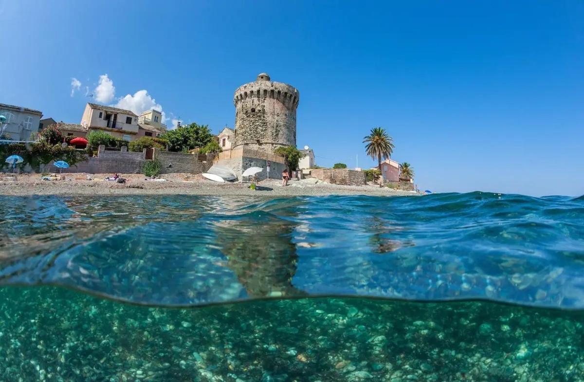 Agreable Studio Debut Cap Corse Proche Bastia San-Martino-di-Lota Exteriör bild
